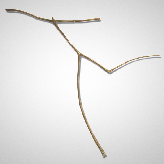 Ascension Peter Syndicas