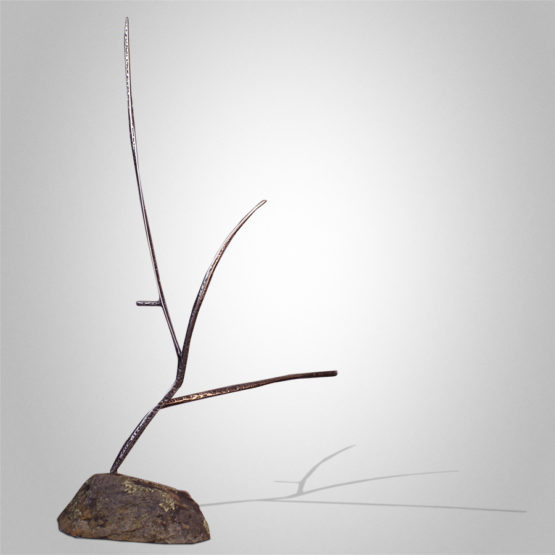 Beyond the Shady Pool Peter Syndicas