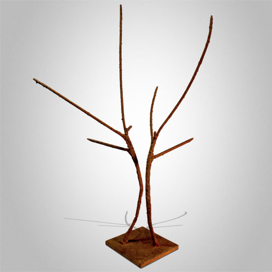 Congregation Peter Syndicas