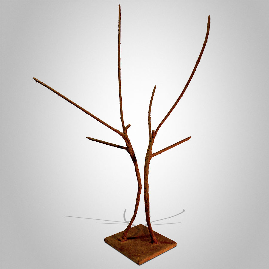 Congregation Peter Syndicas