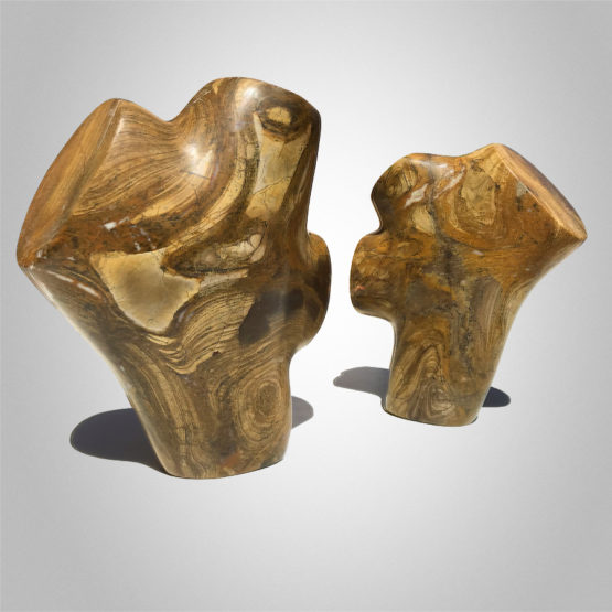 Early Life Forms Peter Syndicas