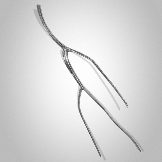 Kangaroo Island Native Species Peter Syndicas