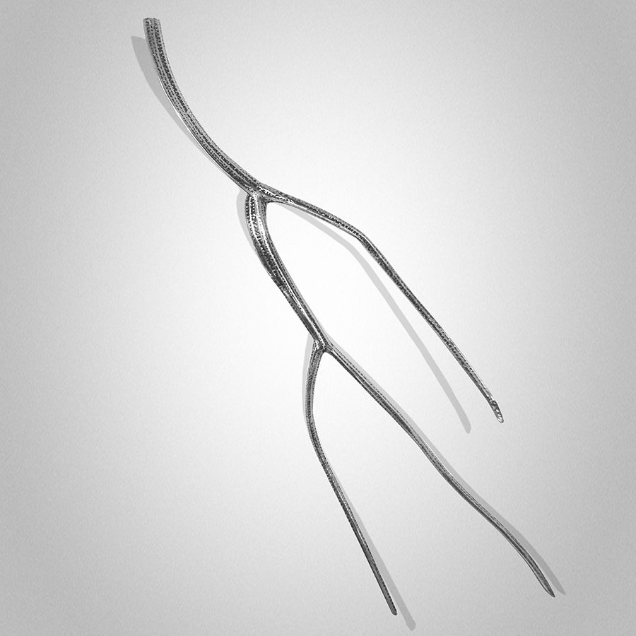 Kangaroo Island Native Species Peter Syndicas