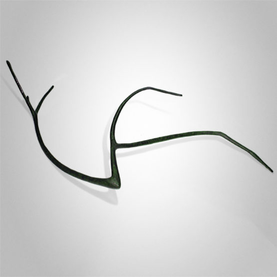 Native Oppression Peter Syndicas