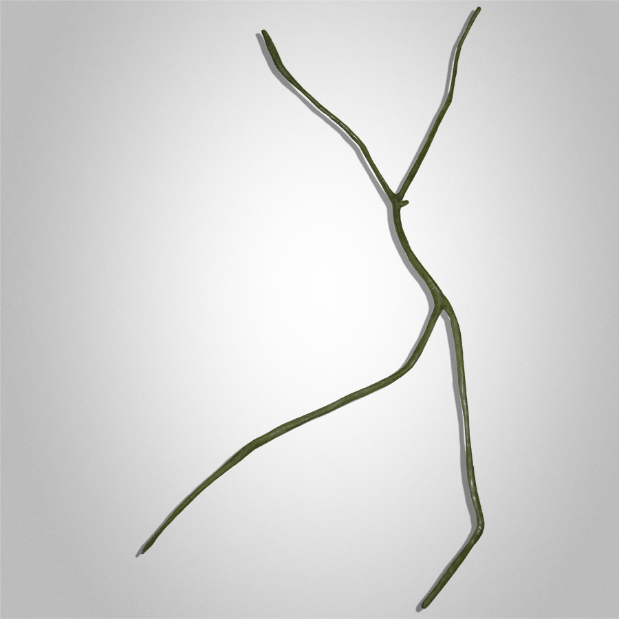 Resurrection Peter Syndicas