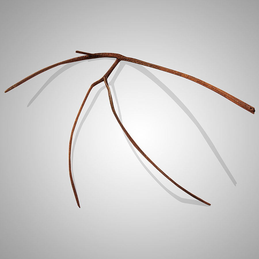 Stolen Regeneration Peter Syndicas