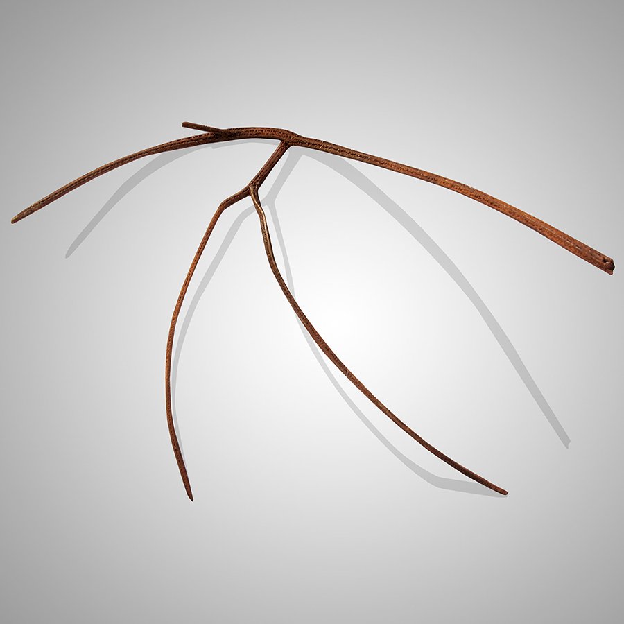 Stolen Regeneration Peter Syndicas