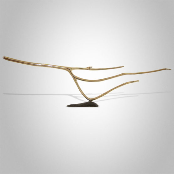 The Shady Pool Peter Syndicas