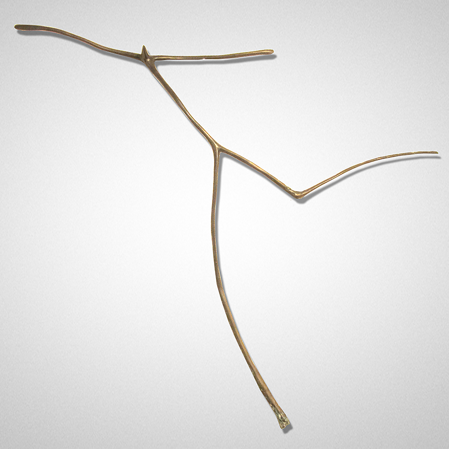 Ascension Peter Syndicas