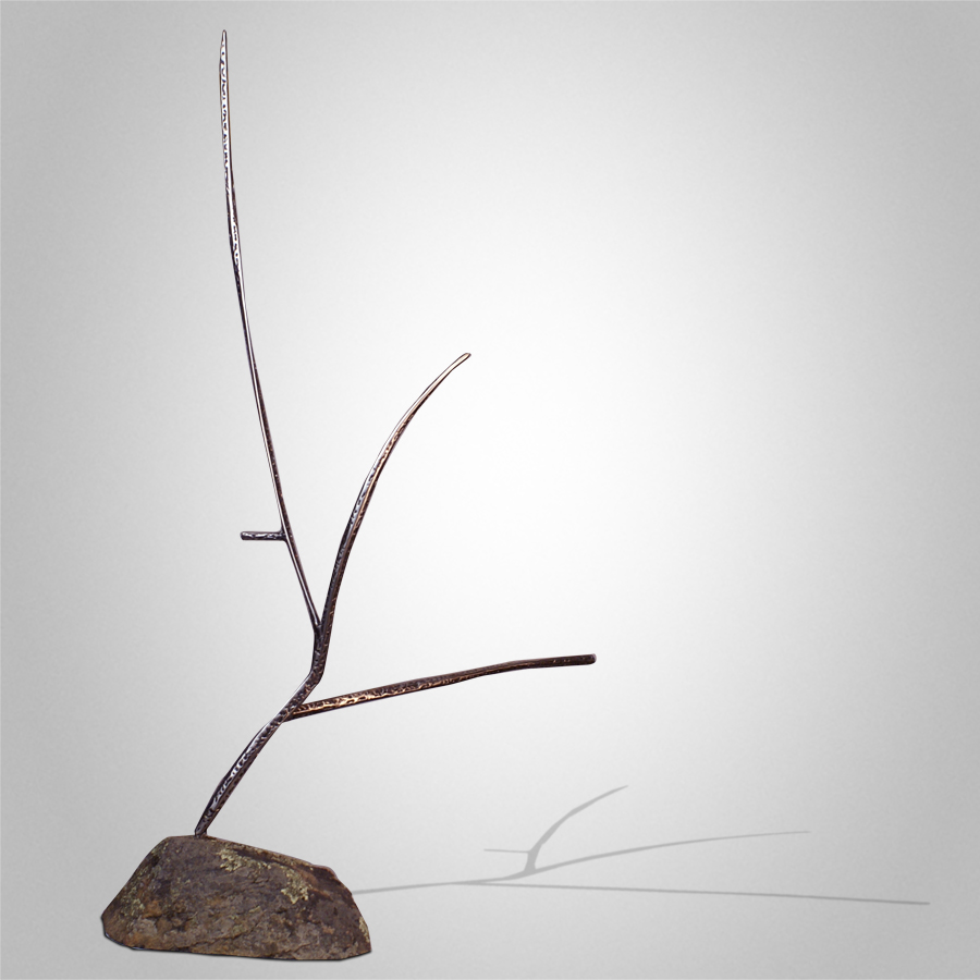 Beyond the Shady Pool Peter Syndicas