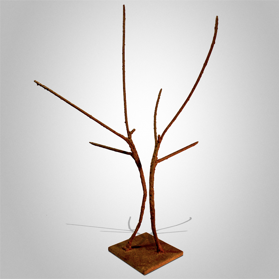 Congregation Peter Syndicas