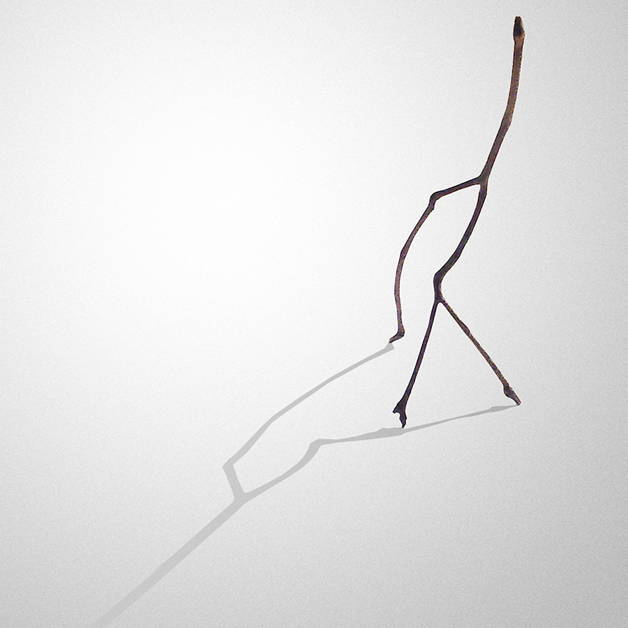 Kew Twig Peter Syndicas