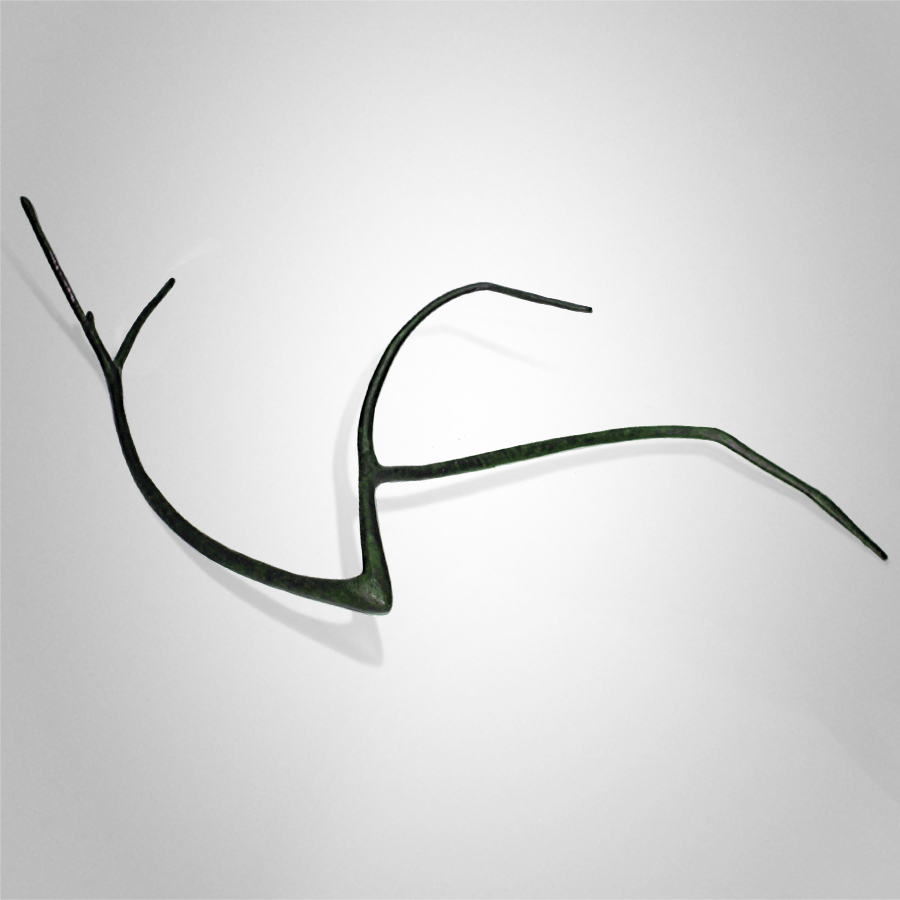 Native Oppression Peter Syndicas