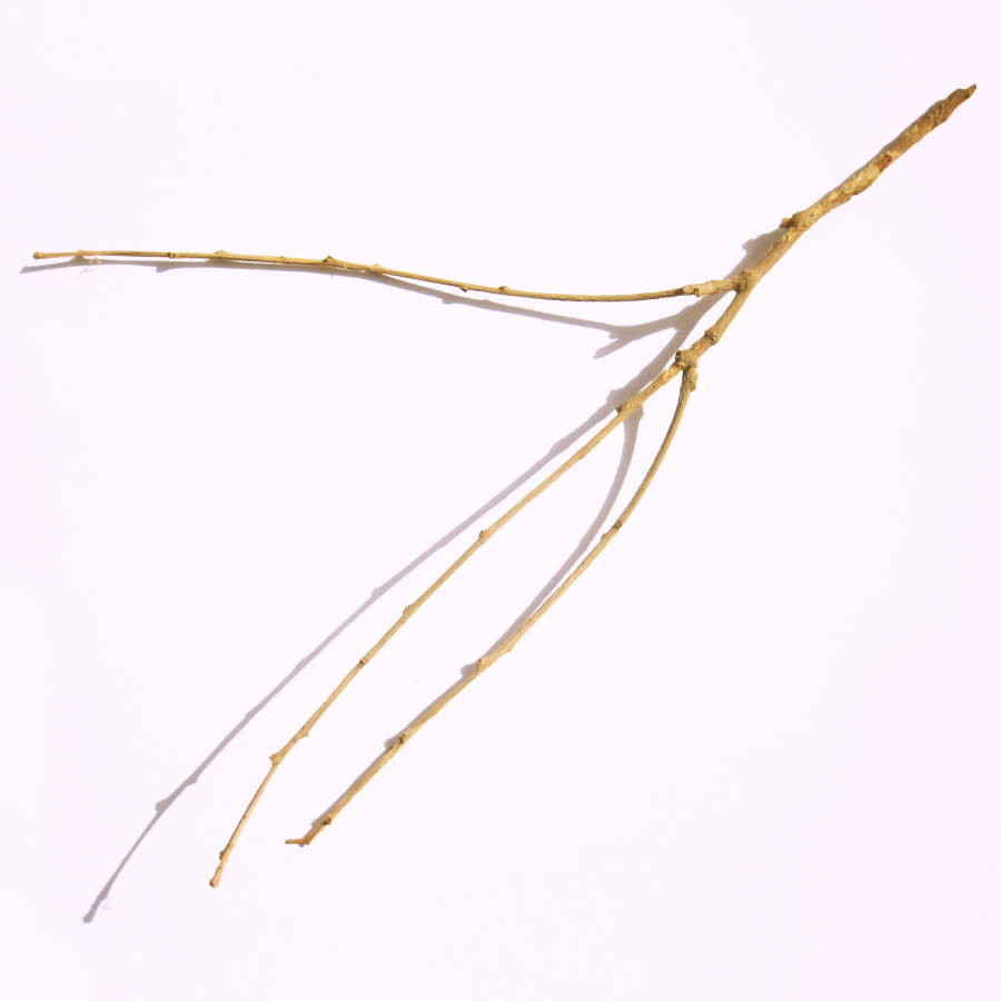 The Villager Twig Peter Syndicas